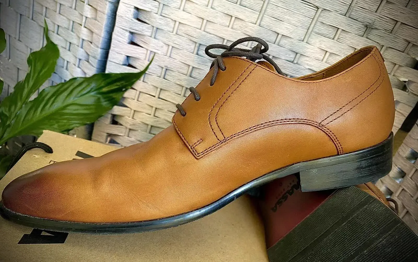 Massa Ascoli Leather Derby Dress Lace Up Shoes Wedding Business Formal in Tan - UK 11